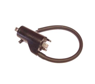 Zündspule TE SM 610ie 07-09