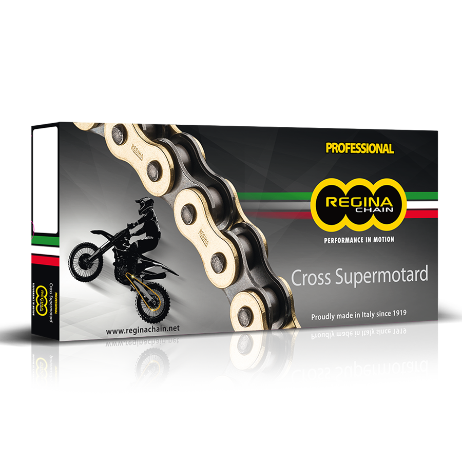 TeuberMotorsport REGINA KETTE 520 RH2 112 PROFESSIONAL