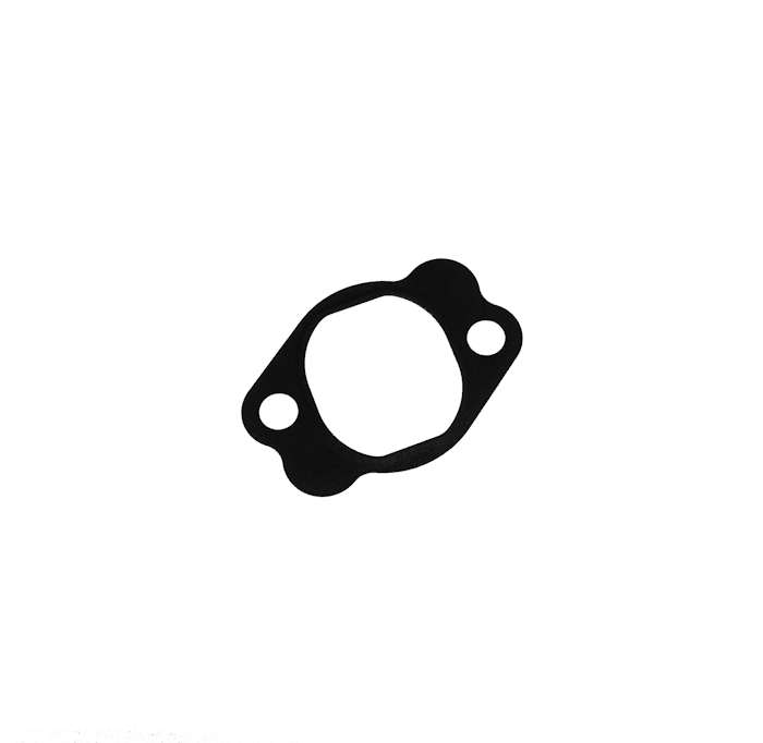 DICHTUNG STEUERKETTENSPANNER 125-4T